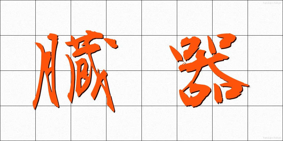 臓器 (ぞうき)