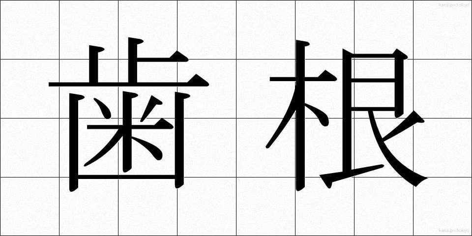歯根 (しこん)