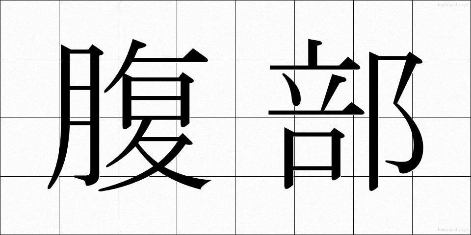 腹部 (ふくぶ)
