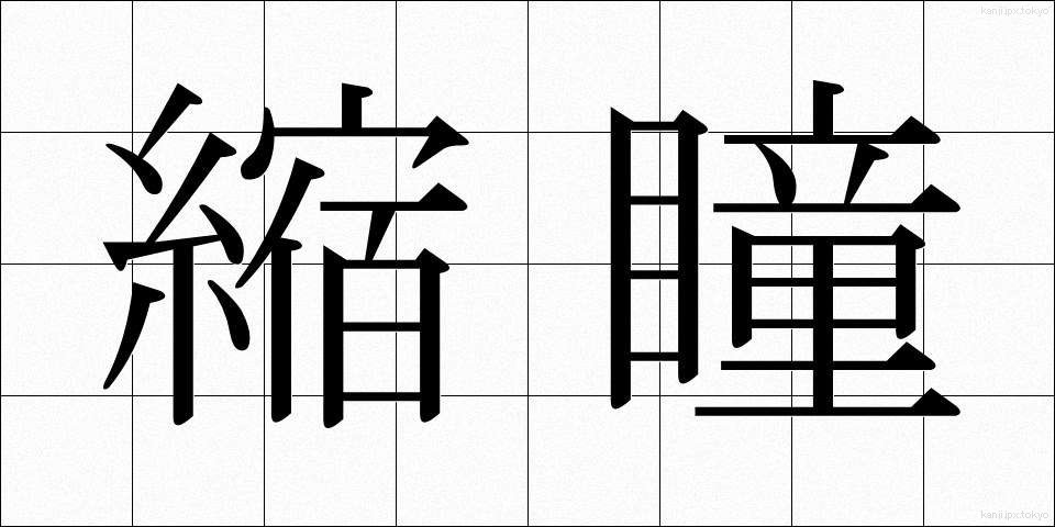 縮瞳 (しゅくどう)