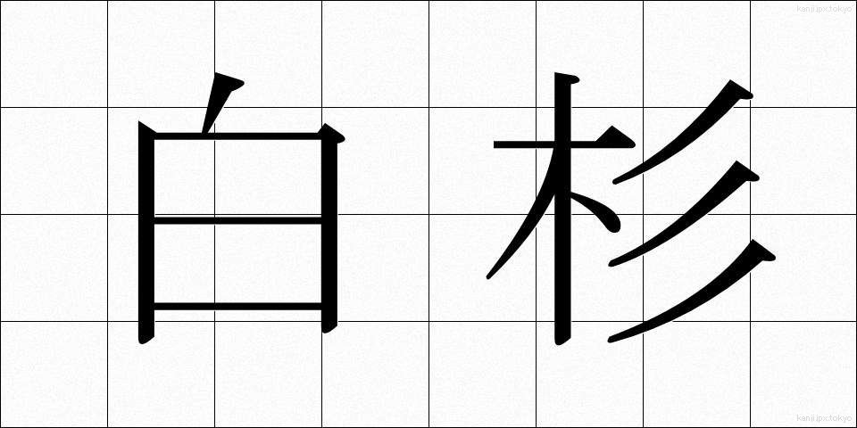 白杉 (しらすぎ)