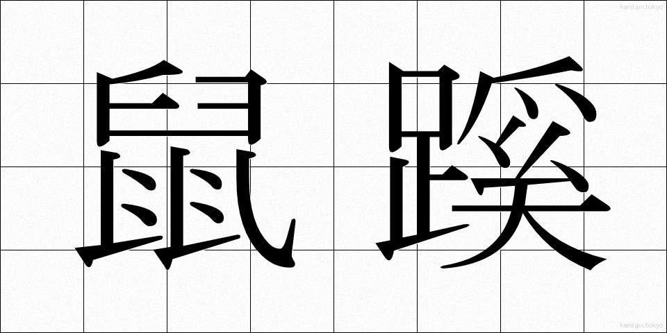 鼠蹊 (そけい)