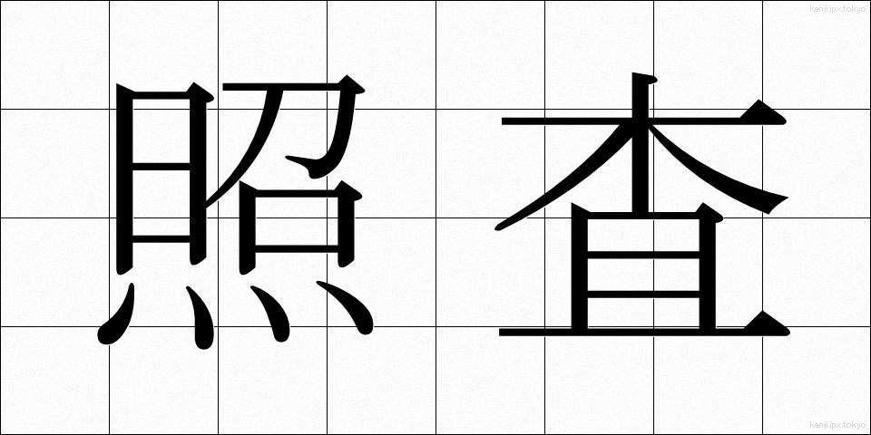 照査 (しょうさ)
