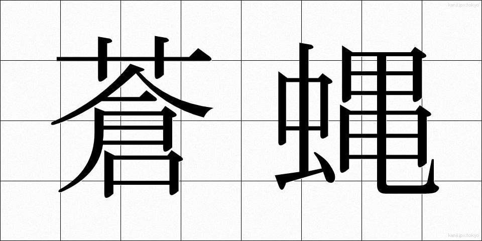 蒼蝿 (そうよう)