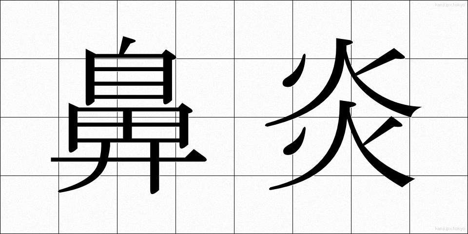 鼻炎 (びえん)