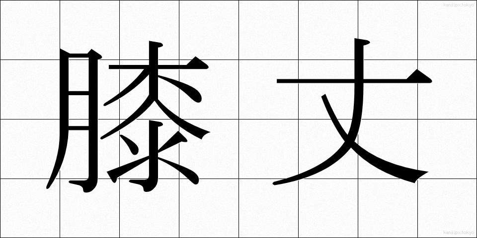 膝丈 (ひざたけ)