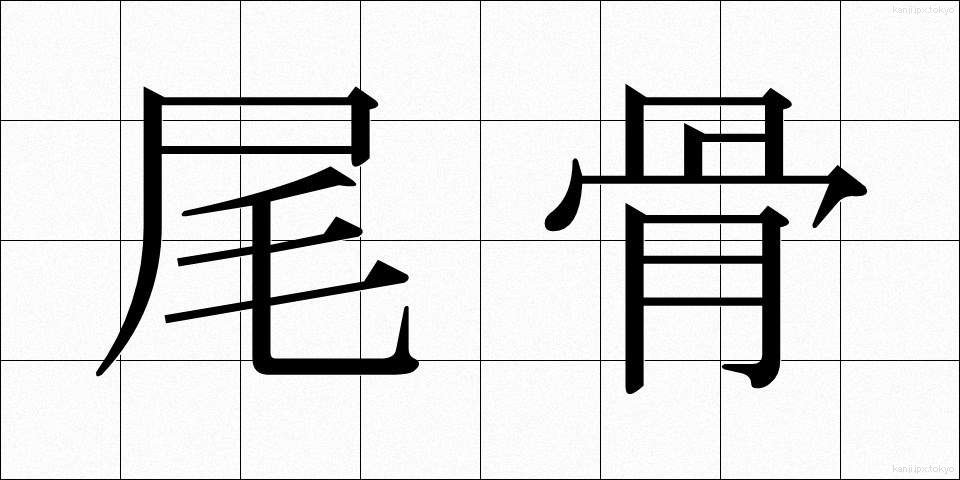 尾骨 (びこつ)