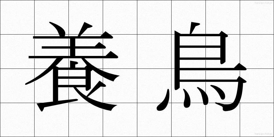 養鳥 (ようちょう)