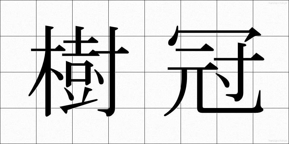 樹冠 (じゅかん)