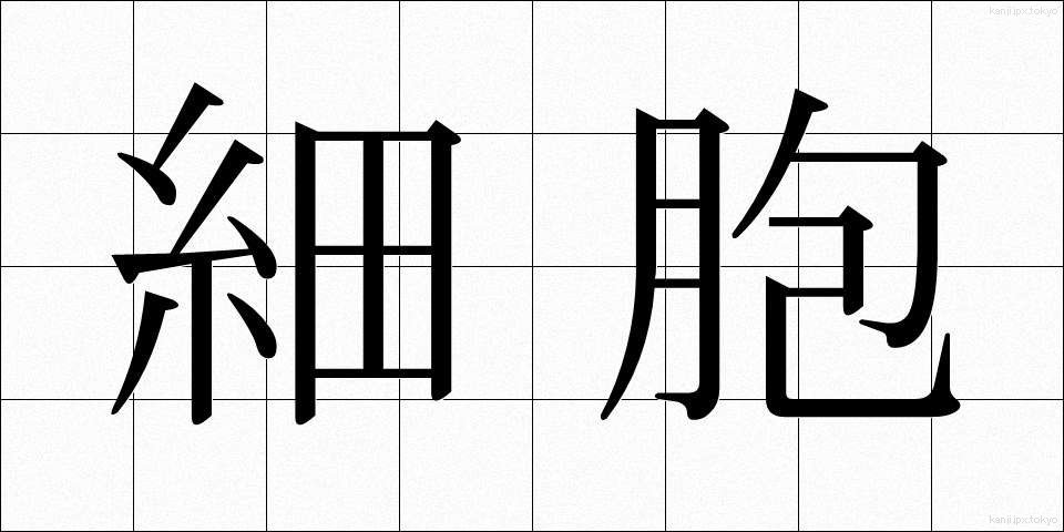 細胞 (さいぼう)
