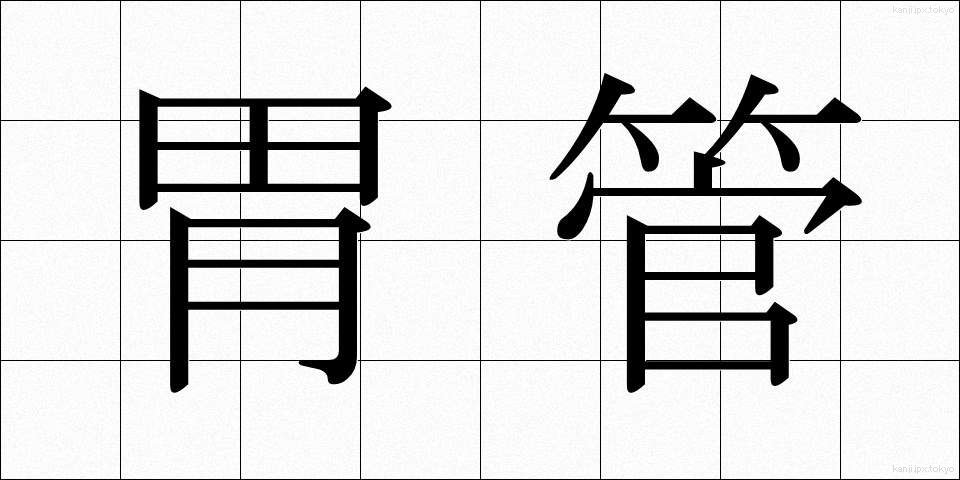 胃管 (いかん)