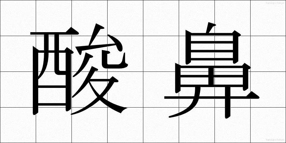 酸鼻 (さんび)
