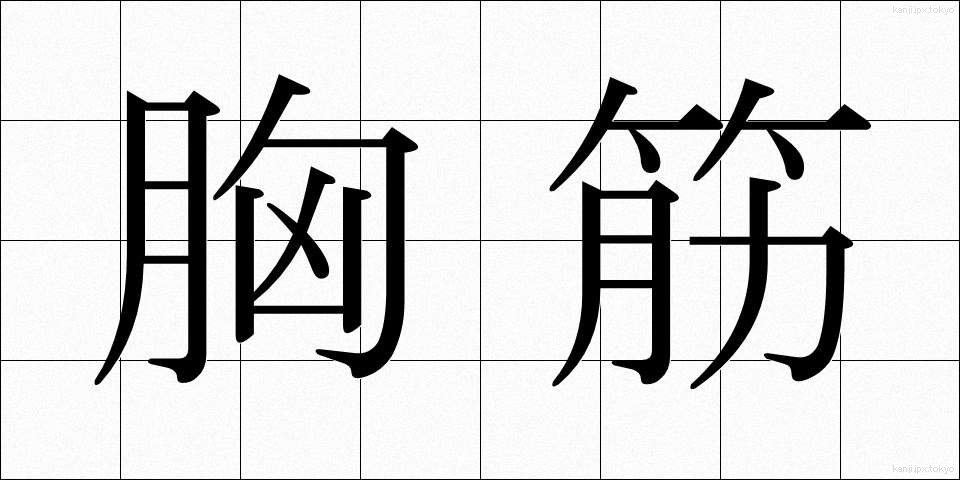 胸筋 (きょうきん)