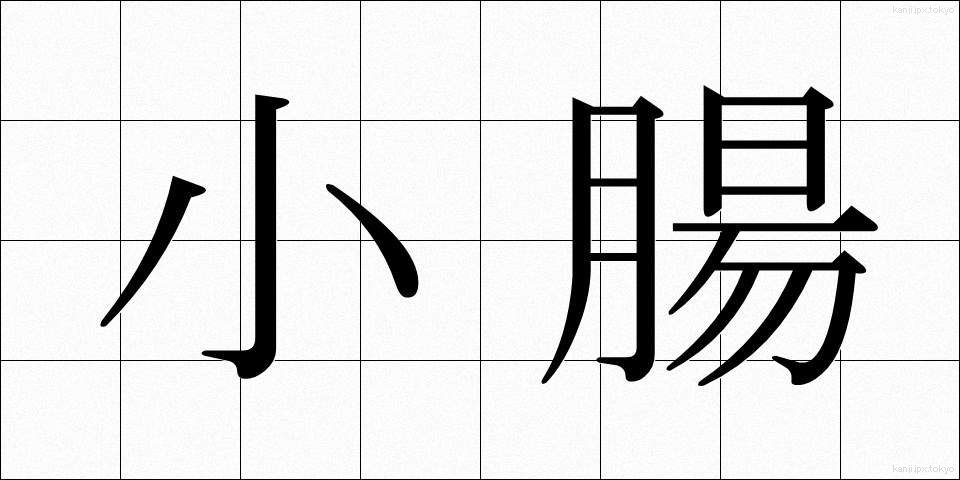 小腸 (しょうちょう)