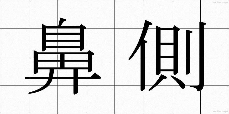 鼻側 (びそく)