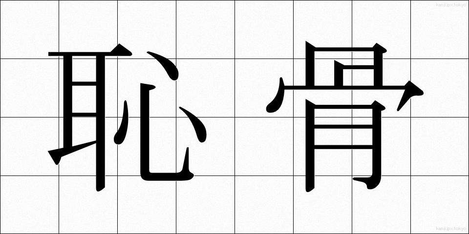 恥骨 (ちこつ)