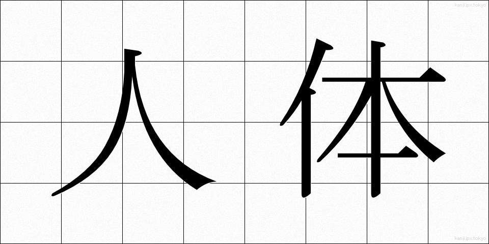 人体 (じんたい)