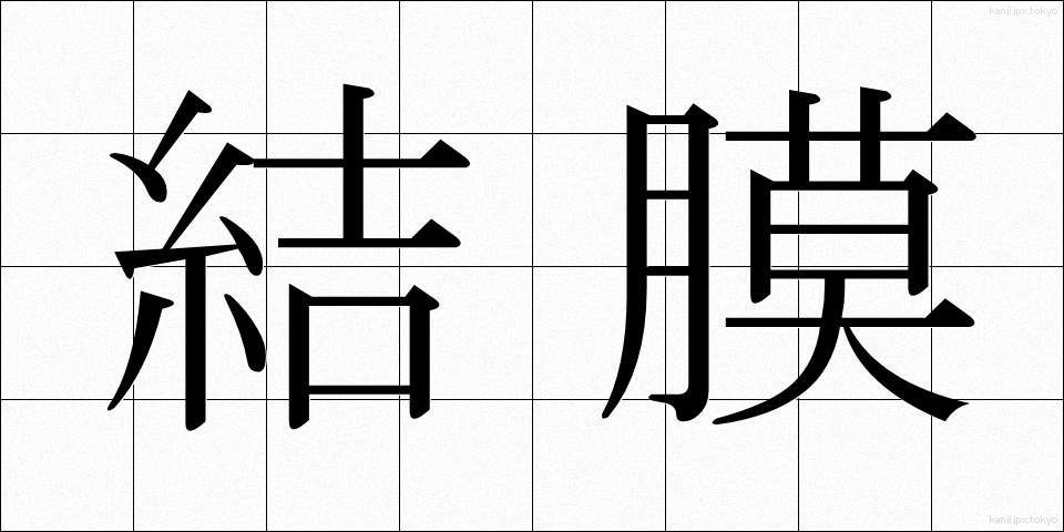結膜 (けつまく)