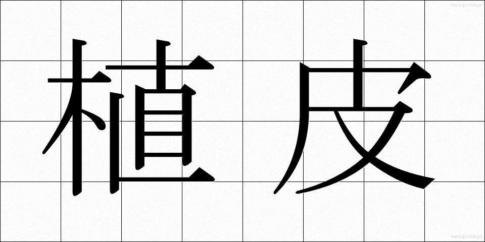 植皮 (しょくひ)