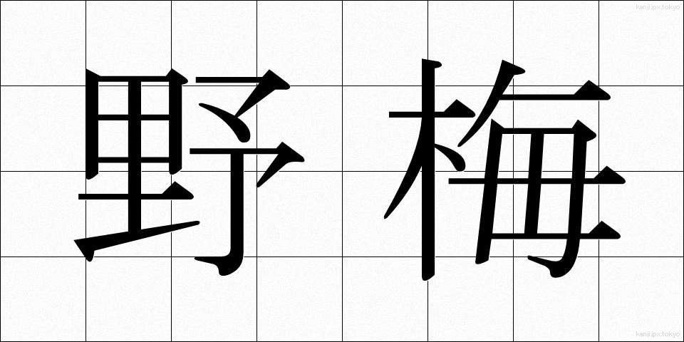 野梅 (のうめ)