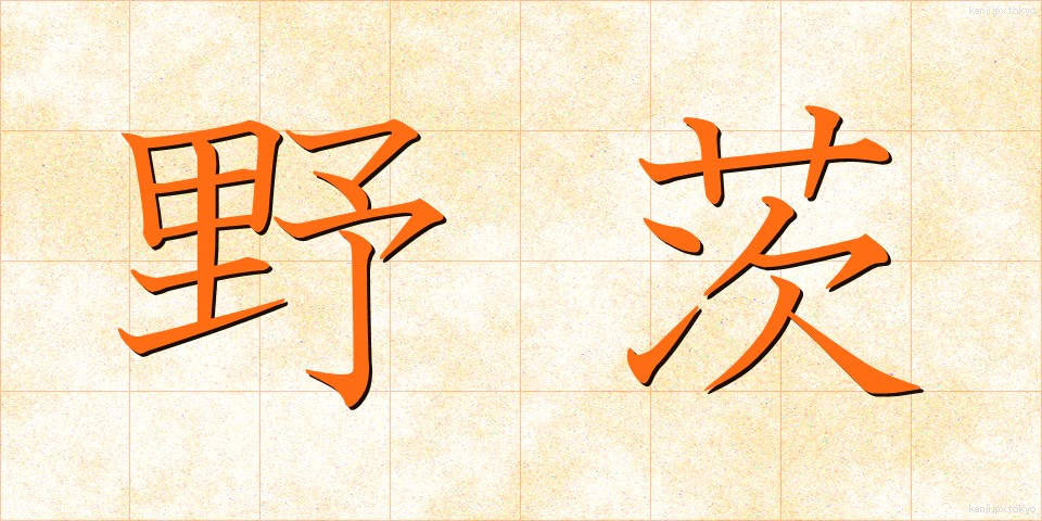 野茨 (のいばら)