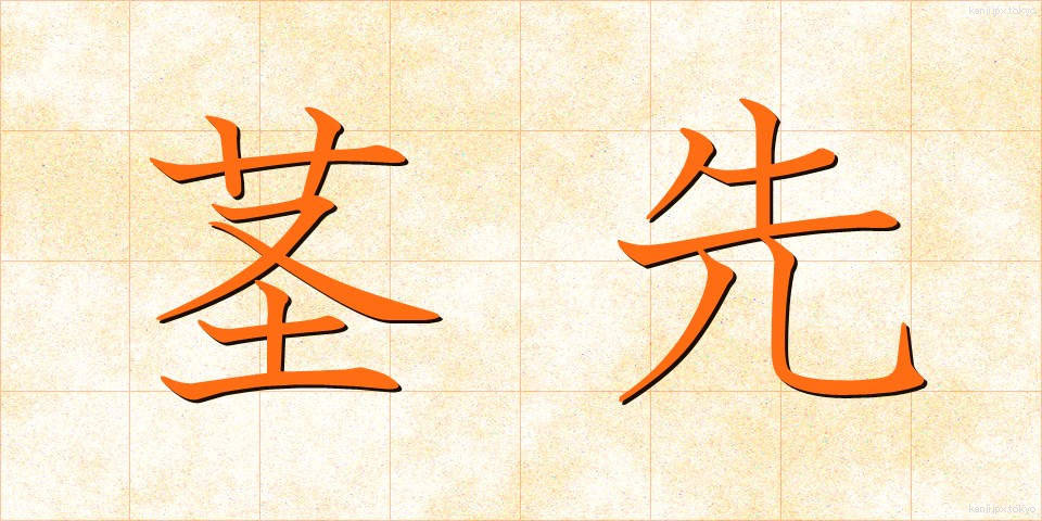 茎先 (けいさき)
