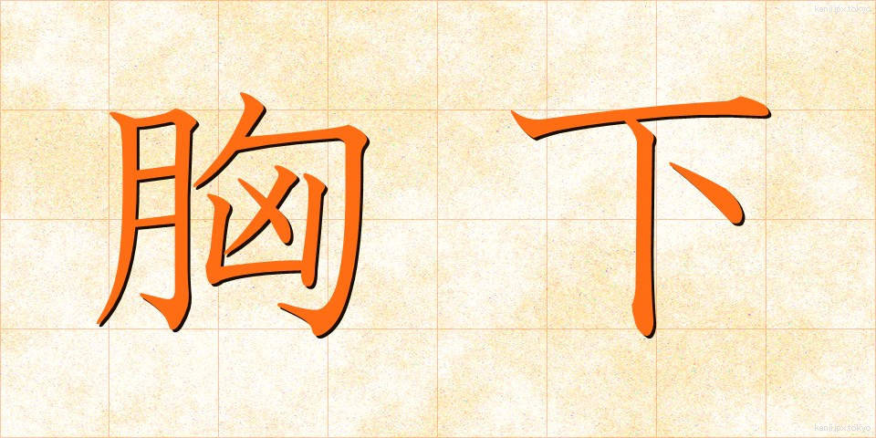 胸下 (きょうか)