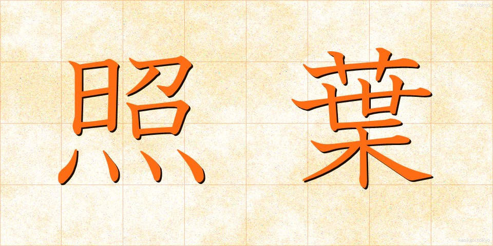 照葉 (しょうよう)