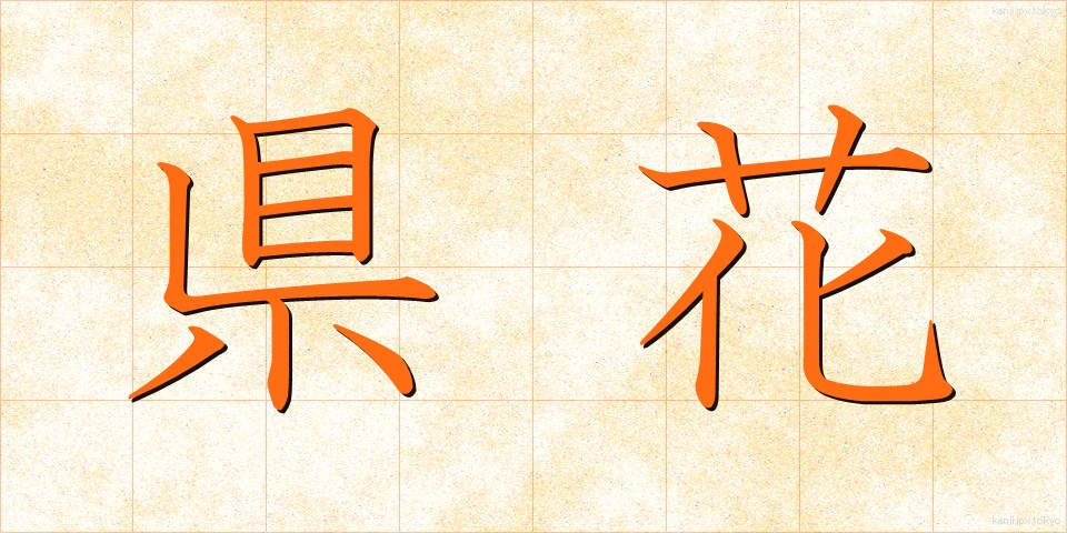県花 (けんか)