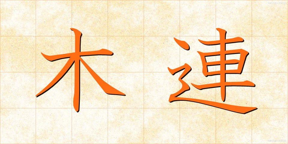 木連 (もくれん)