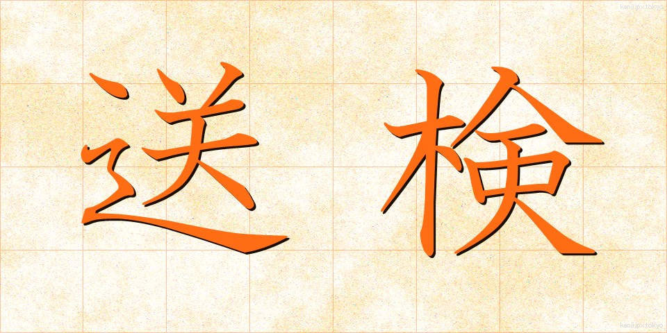 送検 (そうけん)