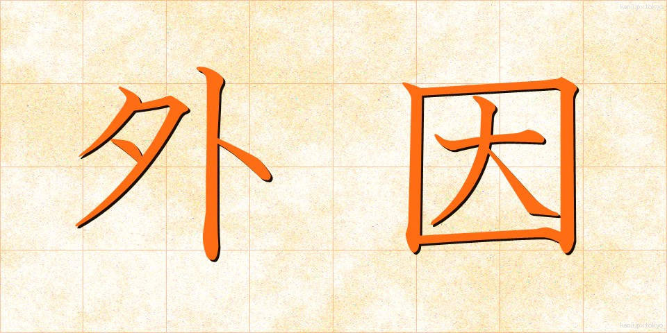 外因 (がいん)