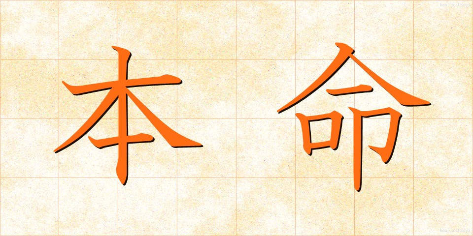 本命 (ほんめい)