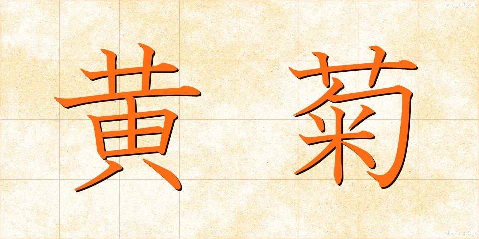 黄菊 (きぎく)