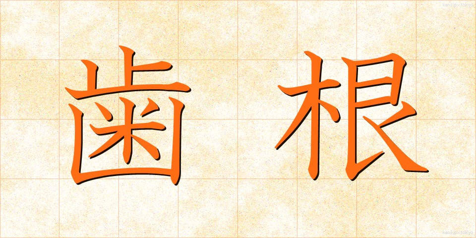 歯根 (しこん)
