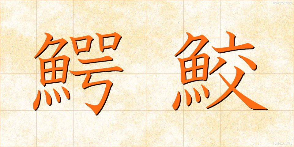 鰐鮫 (わにざめ)