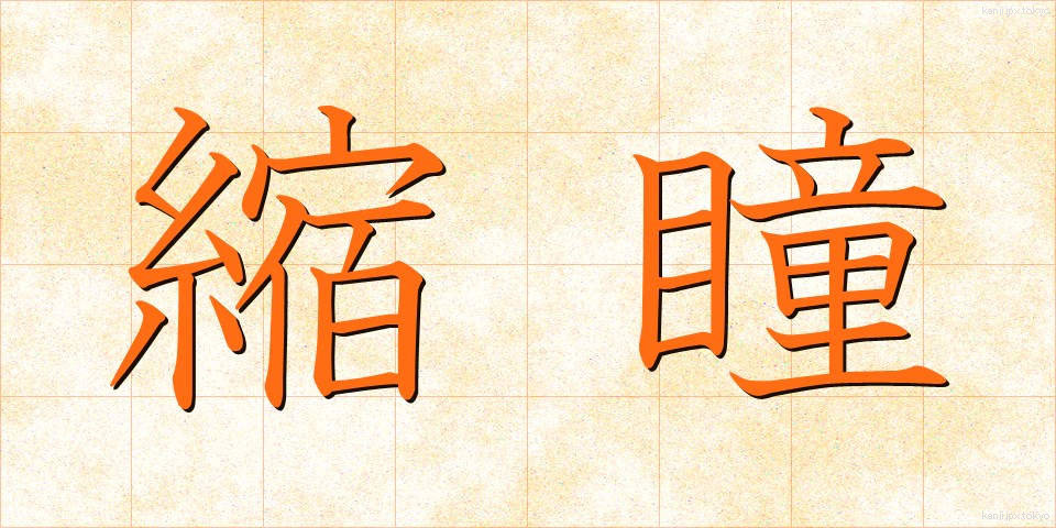 縮瞳 (しゅくどう)