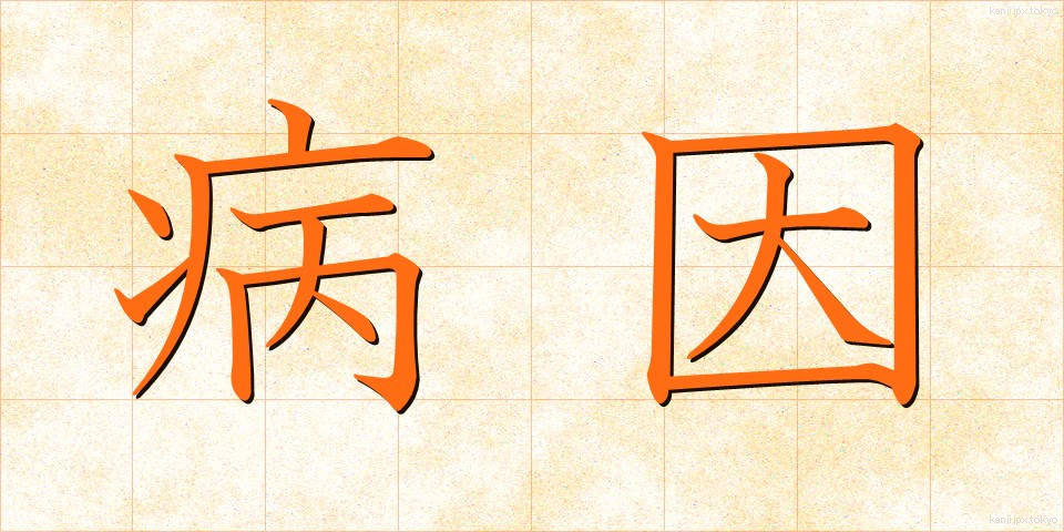 病因 (びょういん)