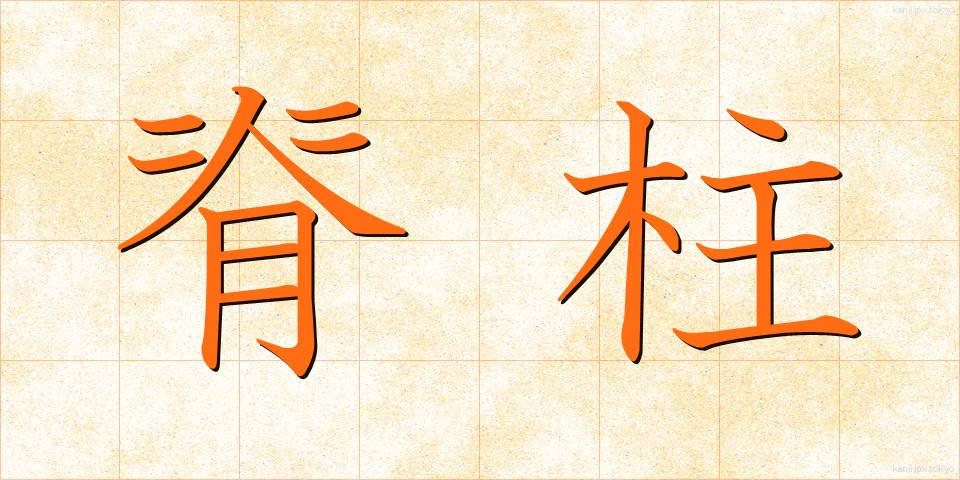 脊柱 (せきちゅう)