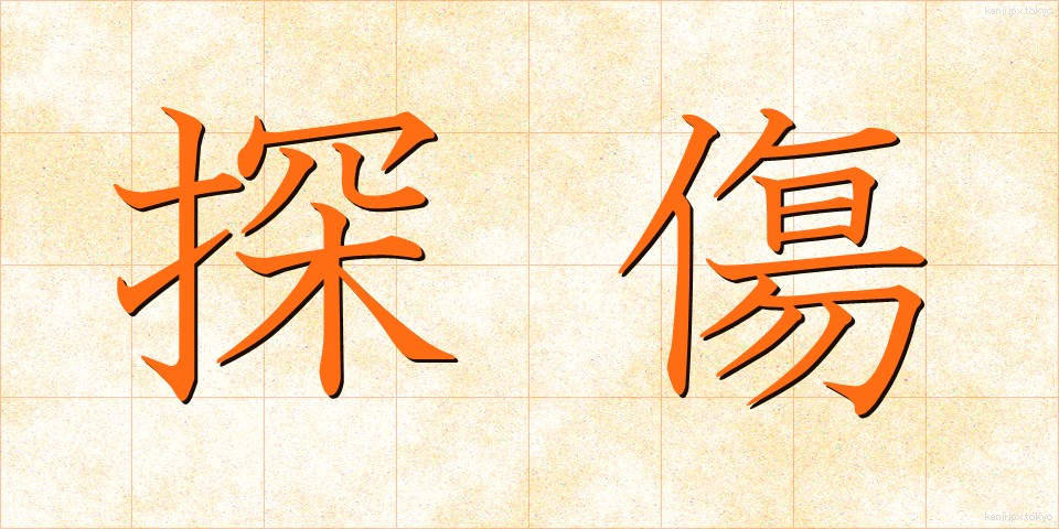探傷 (たんしょう)