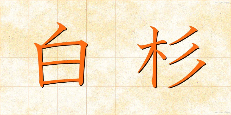 白杉 (しらすぎ)