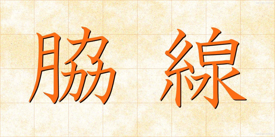 脇線 (わきせん)