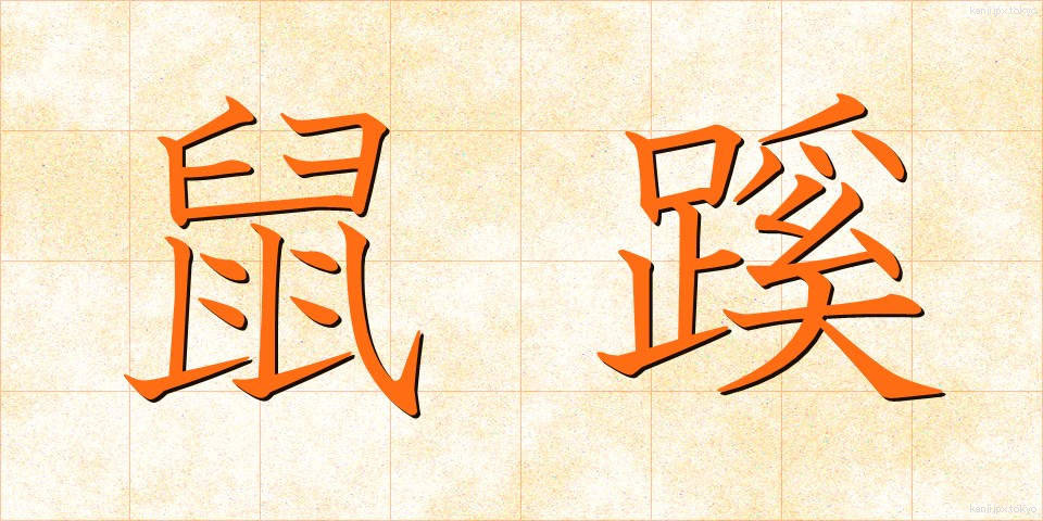 鼠蹊 (そけい)