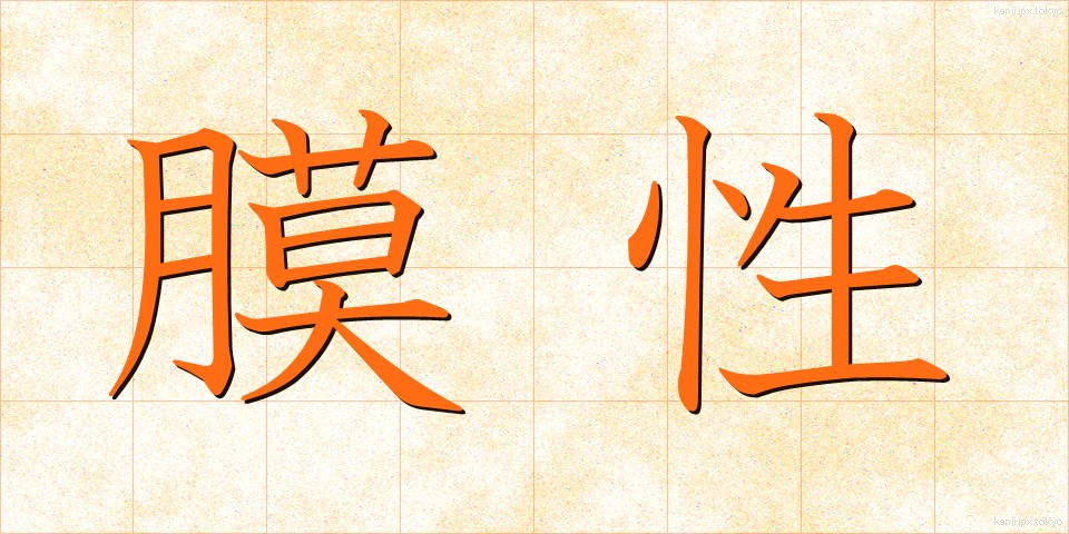 膜性 (まくせい)