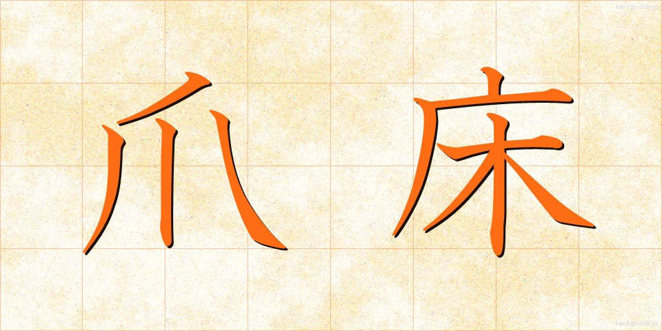 爪床 (つめどこ)