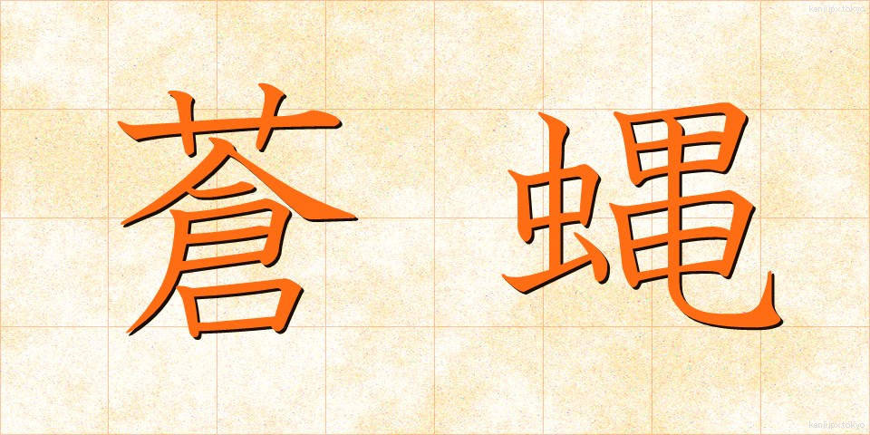 蒼蝿 (そうよう)