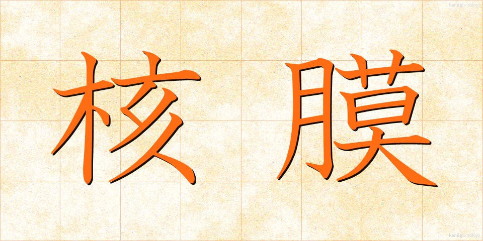 核膜 (かくまく)