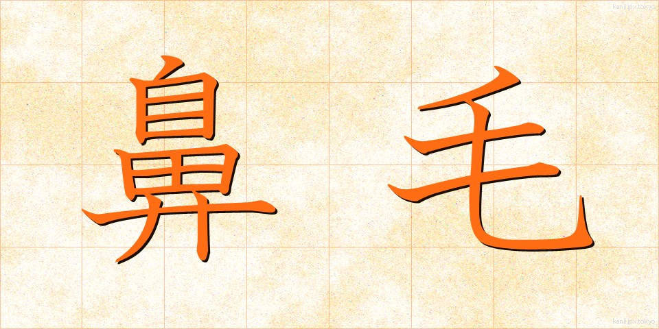 鼻毛 (びもう)