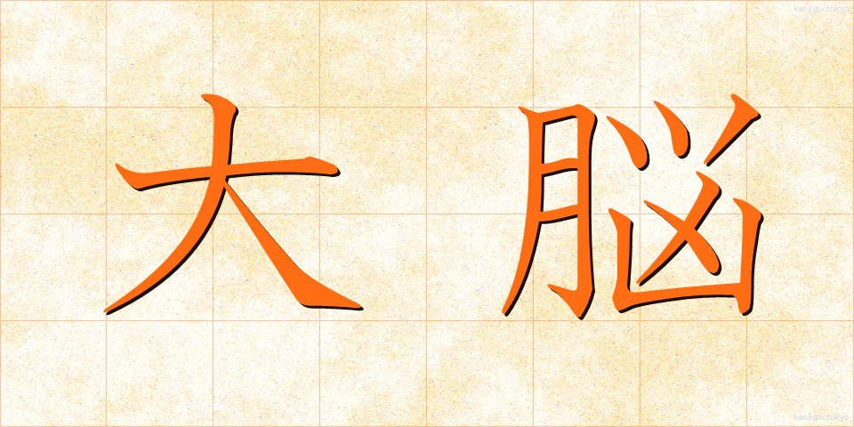 大脳 (だいのう)