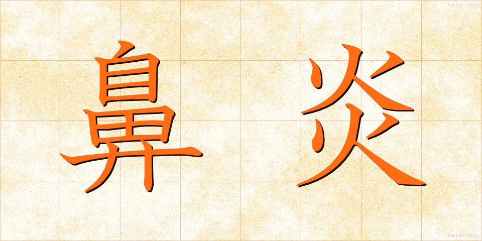 鼻炎 (びえん)